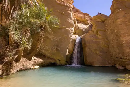 Oasis